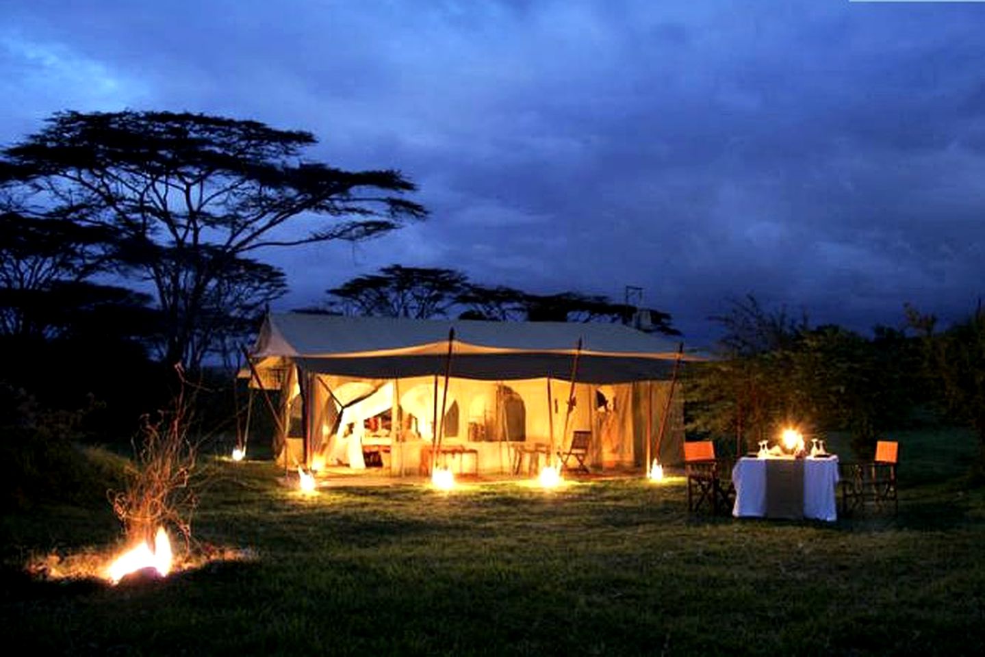 Upscale Safari Camp with Game Drives to View Native Wildlife in Masai Mara, Kenya