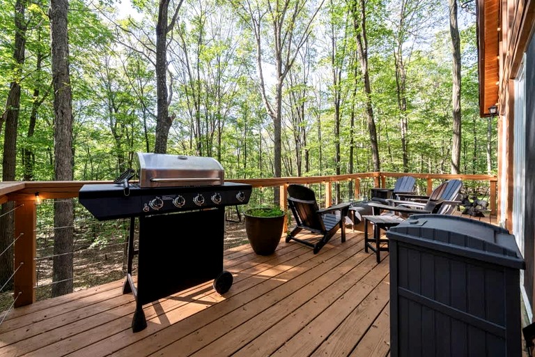 Log Cabins (United States of America, --, West Virginia)