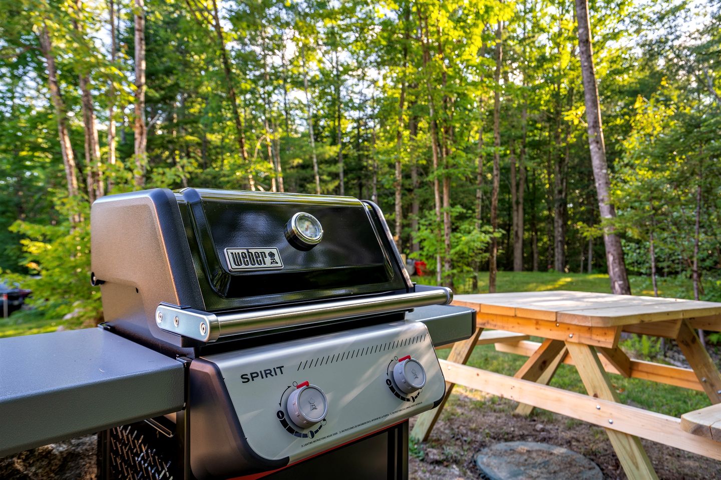 Cozy Woodland Cabin Retreat – Peaceful Escape in Nature in Bethel, Maine
