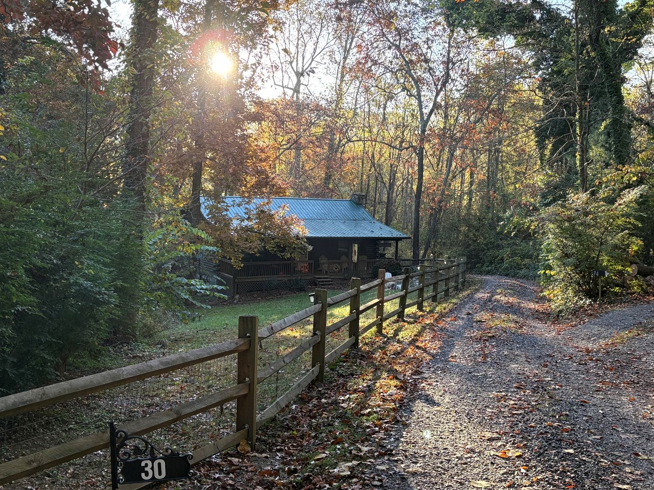 Cozy Mountain Cabin with Fire Pit and Forest Views near Downtown Black Mountain, NC
