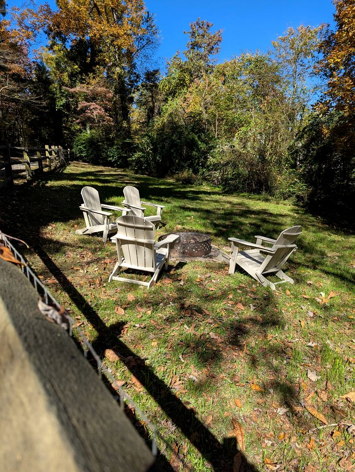 Cozy Mountain Cabin with Fire Pit and Forest Views near Downtown Black Mountain, NC