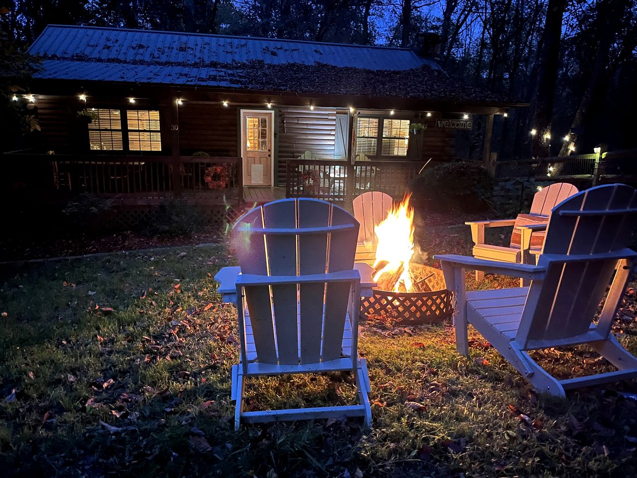Cozy Mountain Cabin with Fire Pit and Forest Views near Downtown Black Mountain, NC