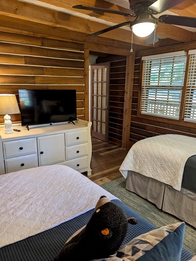 Cabins (United States of America, Black Mountain, North Carolina)