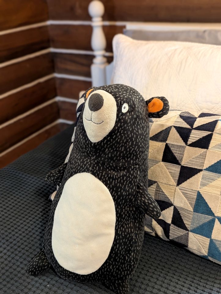 Cozy Mountain Cabin with Fire Pit and Forest Views near Downtown Black Mountain, NC