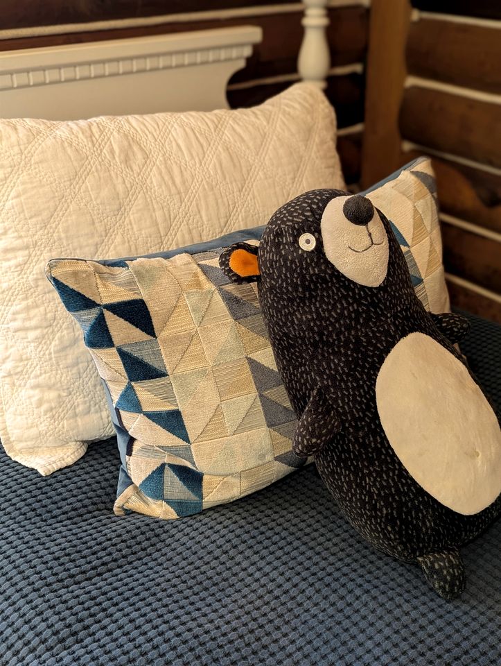 Cozy Mountain Cabin with Fire Pit and Forest Views near Downtown Black Mountain, NC