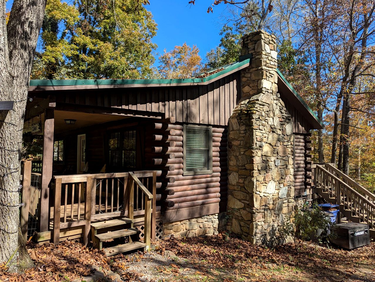 Cozy Mountain Cabin with Fire Pit and Forest Views near Downtown Black Mountain, NC