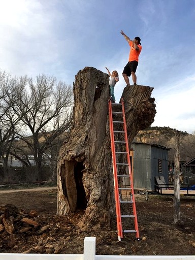 Tree Houses (United States of America, Orderville, Utah)