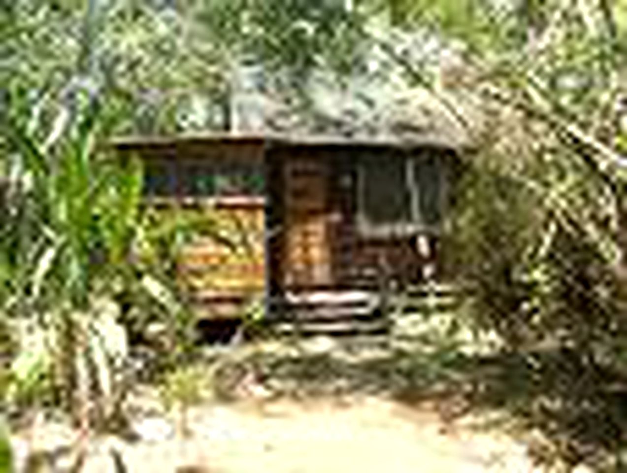 Vacation Cabin Surrounded by Stunning Wildlife on the Mopan River, Belize