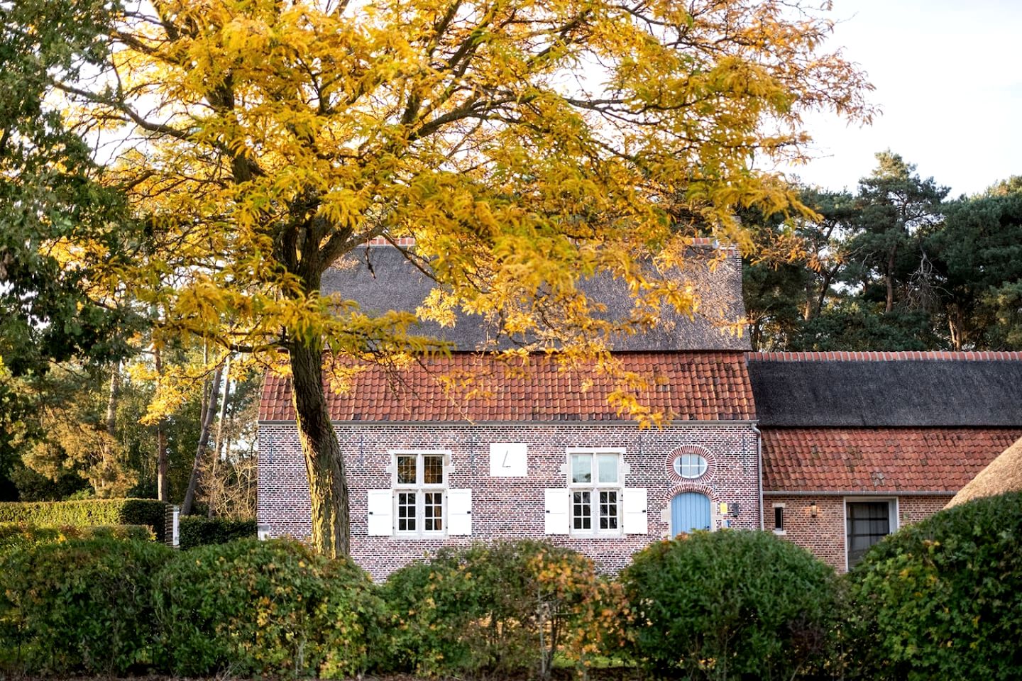 Charming Holiday Home with Historic Windmill Views near Tongerlo in the Green Merode, Antwerp