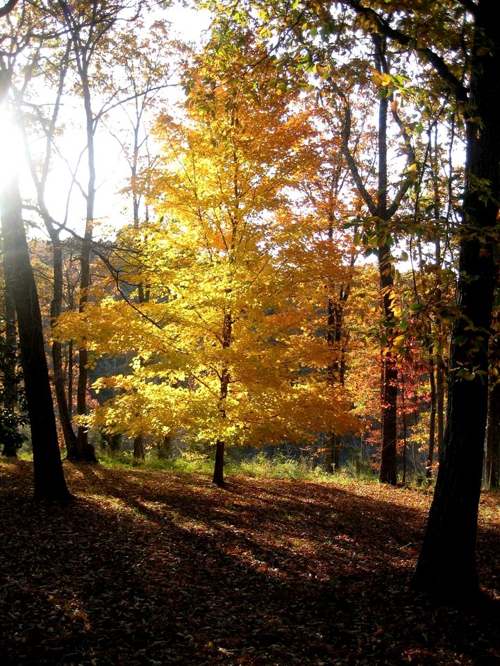 Large Vacation Rental with a Huge Deck near Franklin, Tennessee
