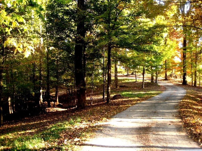 Vacation Rentals (United States of America, Franklin, Tennessee)