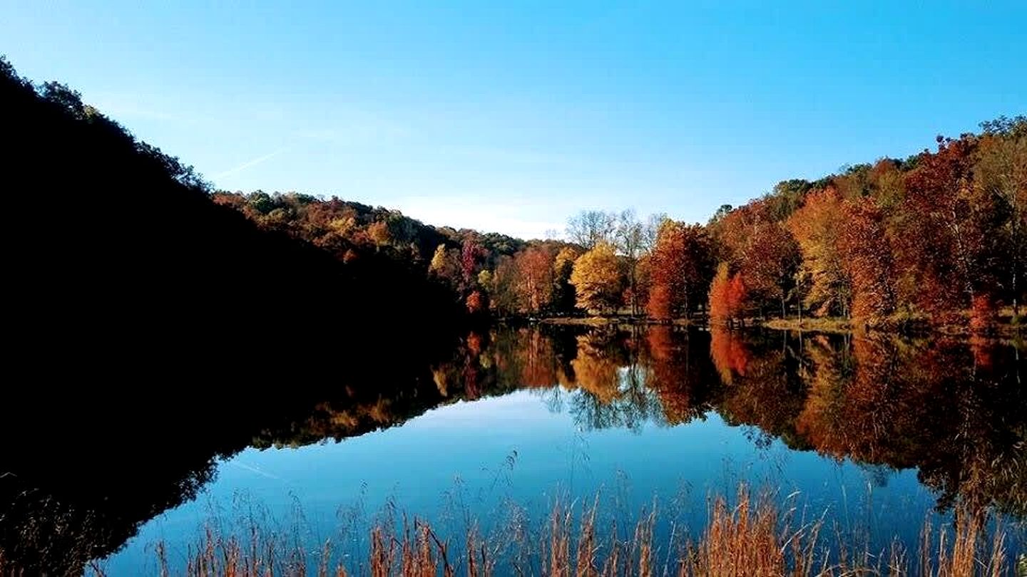 Enormous Vacation Rental with Forest Views near Nashville, Tennessee