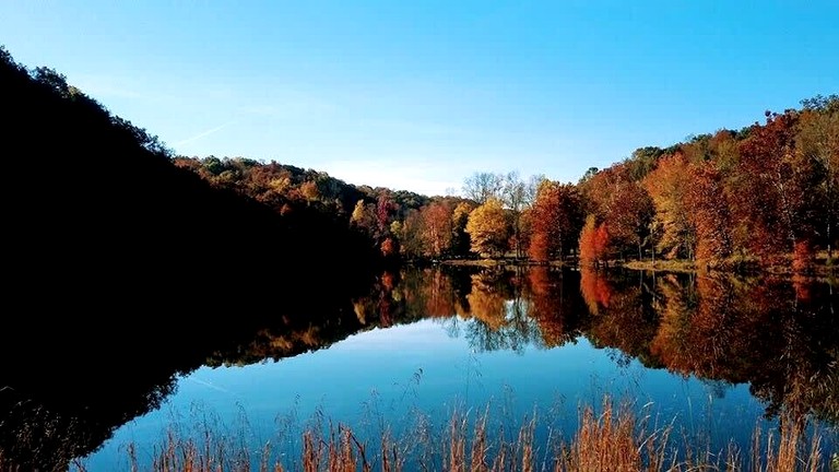 Vacation Rentals (United States of America, Franklin, Tennessee)