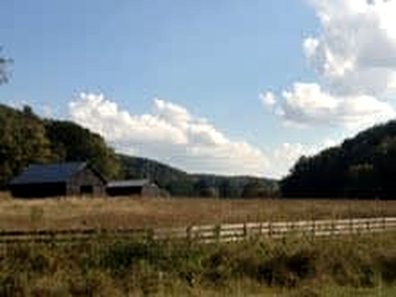 Enormous Vacation Rental with Forest Views near Nashville, Tennessee