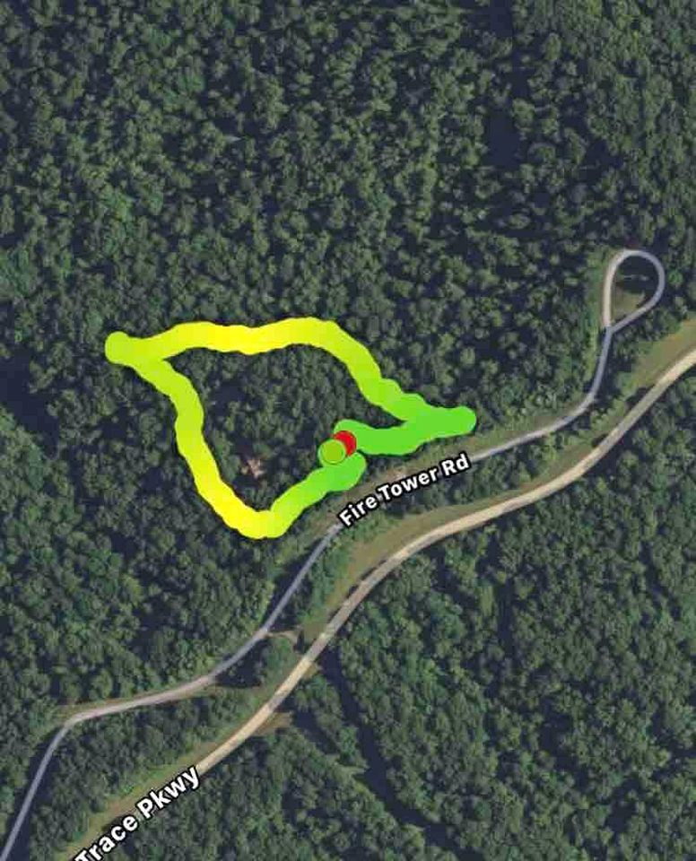 Enormous Vacation Rental with Forest Views near Nashville, Tennessee