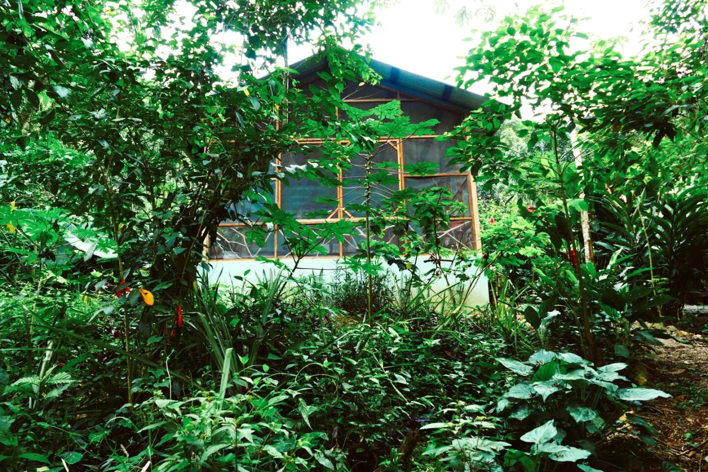 Eco-Friendly Vacation Rental in Cristo Rey, Cayo District