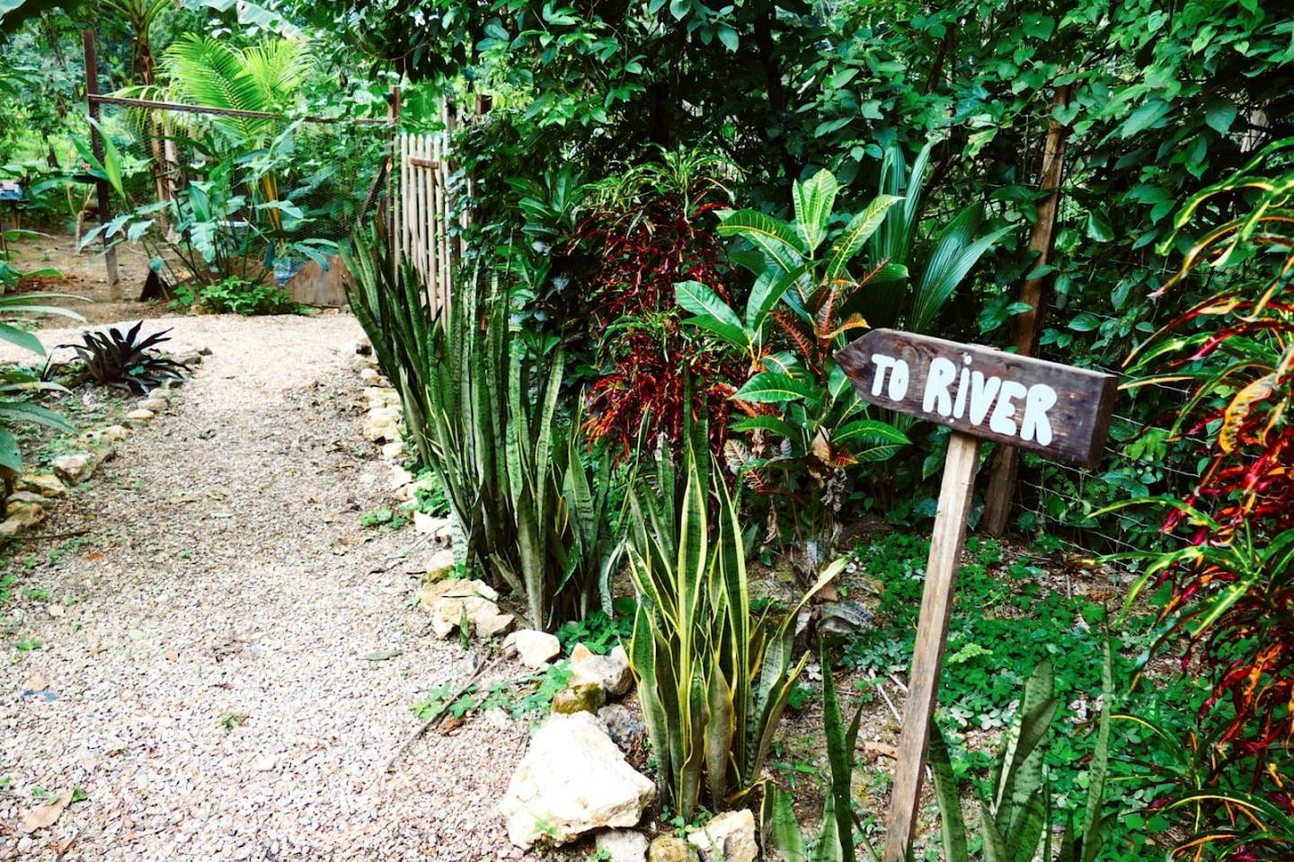 Eco-Friendly Vacation Rental in Cristo Rey, Cayo District