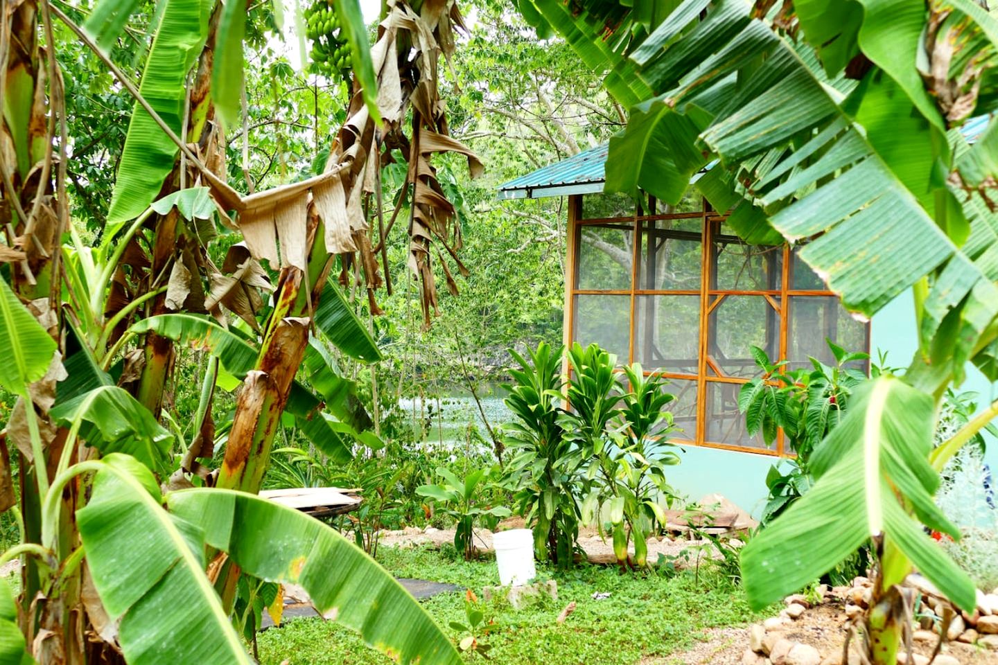 Eco-Friendly Vacation Rental in Cristo Rey, Cayo District