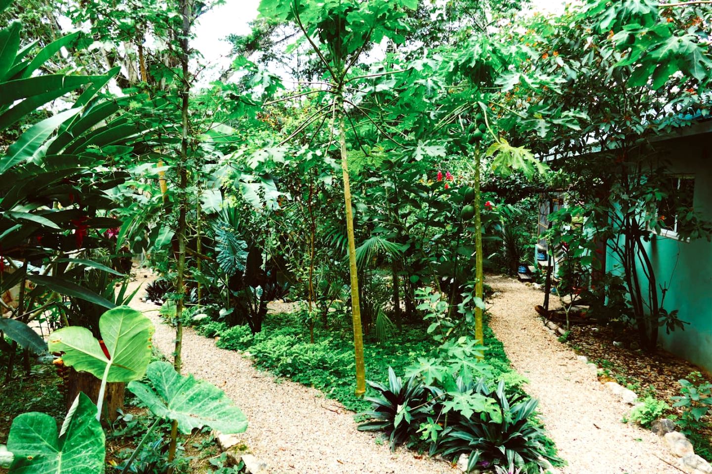 Eco-Friendly Vacation Rental in Cristo Rey, Cayo District