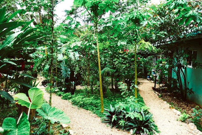 Cottages (Belize, San Ignacio, Cayo District)