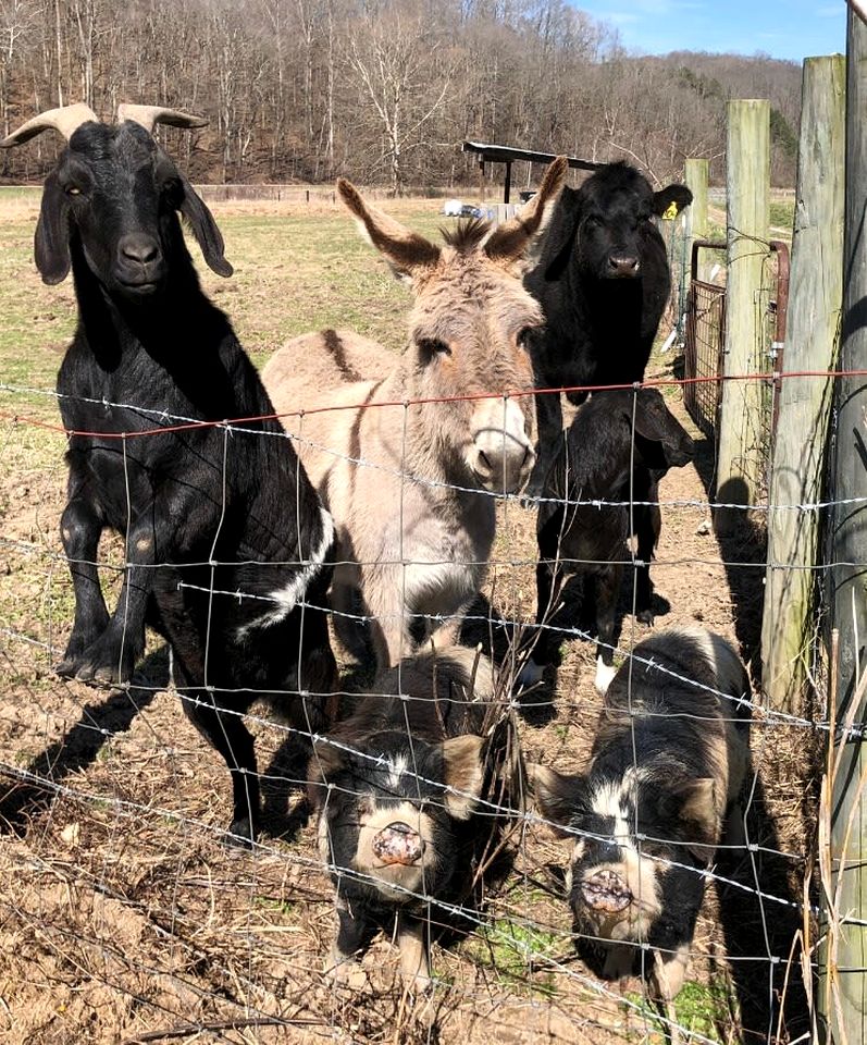 Spacious Vacation Rental near Nashville, Tennessee