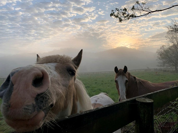 Vacation Rentals (United States of America, Franklin, Tennessee)