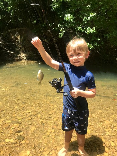 Vacation Rentals (United States of America, Franklin, Tennessee)