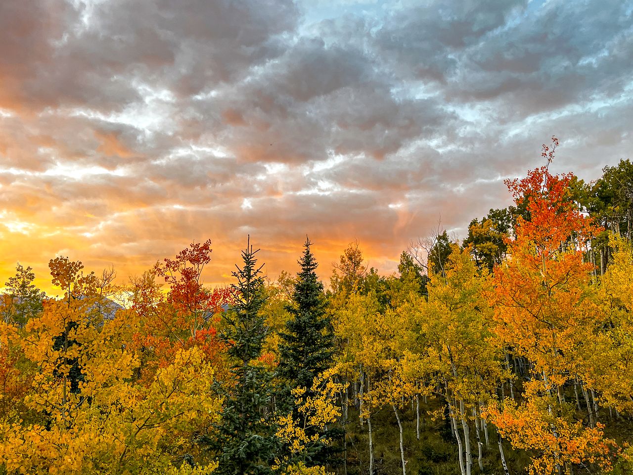 Charming Vacation Rental in the Heart of South Park near Fairplay, Colorado