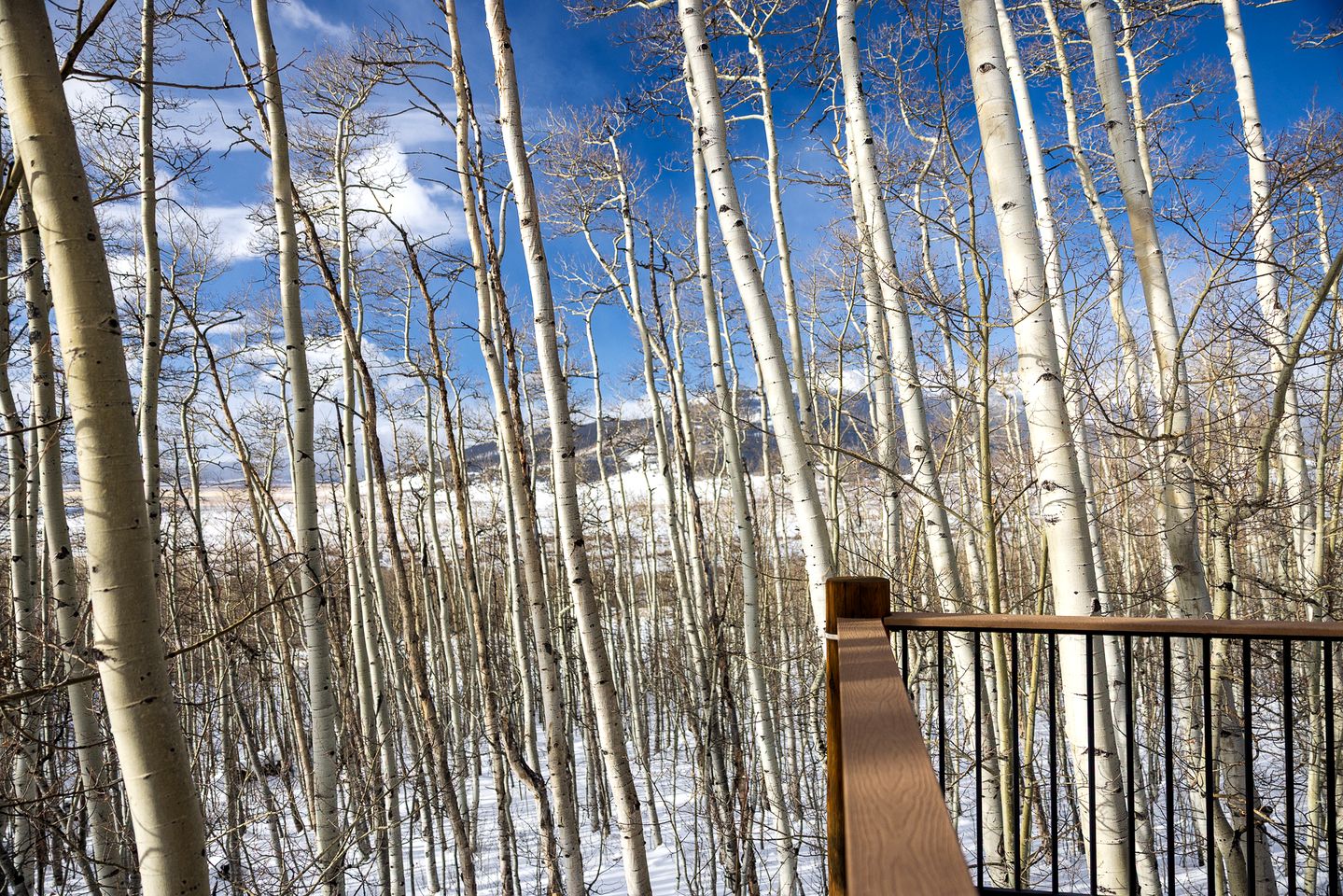 Charming Vacation Rental in the Heart of South Park near Fairplay, Colorado