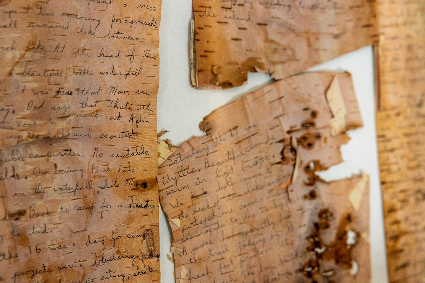 Charming Vacation Rental in the Heart of South Park near Fairplay, Colorado