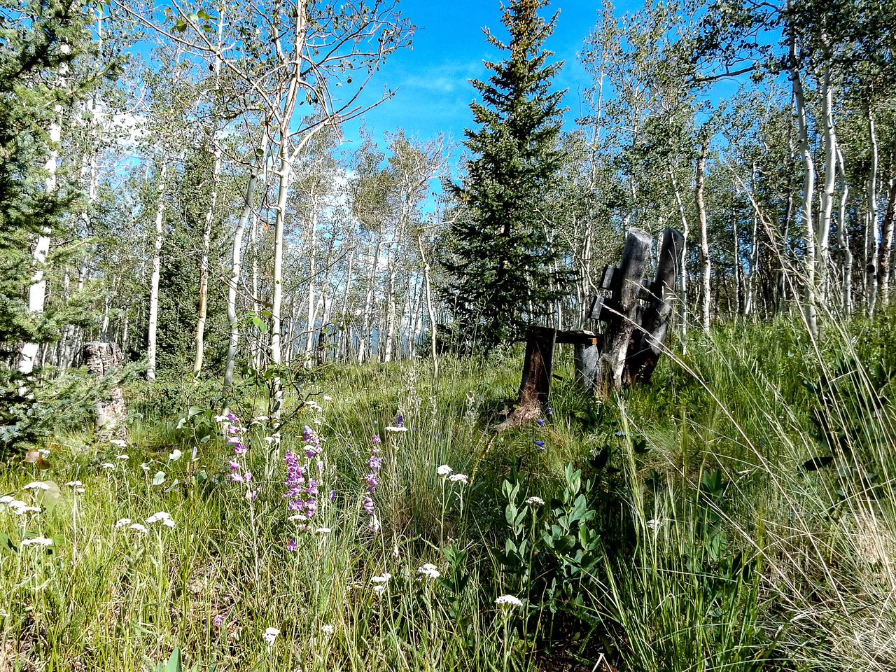 Charming Vacation Rental in the Heart of South Park near Fairplay, Colorado