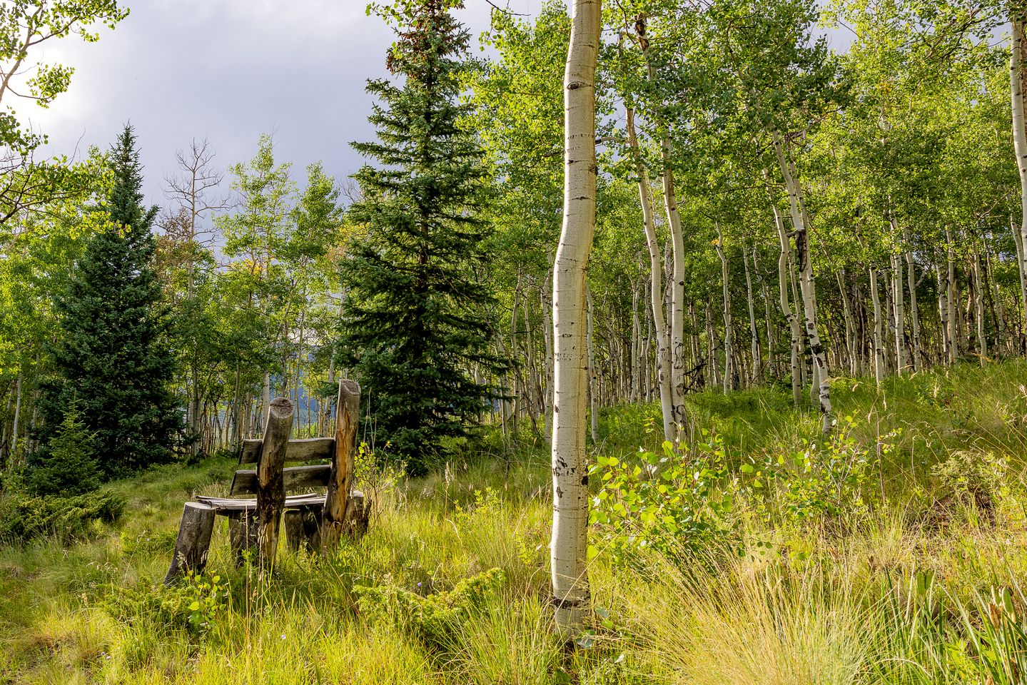 Charming Vacation Rental in the Heart of South Park near Fairplay, Colorado