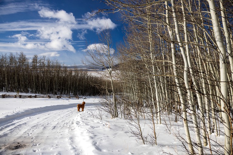 Cottages (United States of America, Jefferson, Colorado)
