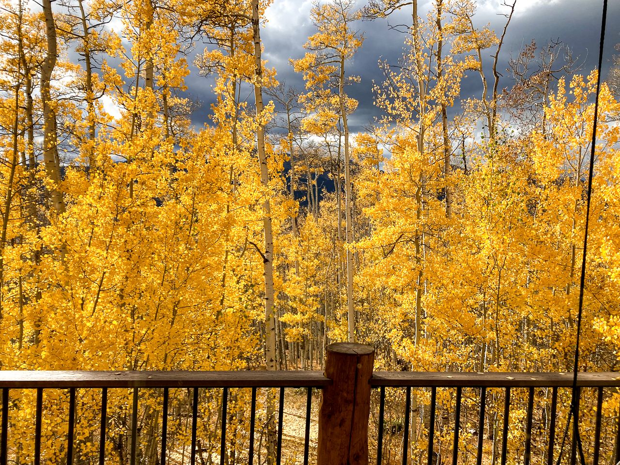 Charming Vacation Rental in the Heart of South Park near Fairplay, Colorado