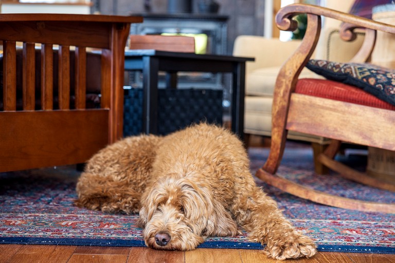 Cottages (United States of America, Jefferson, Colorado)