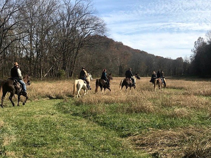 Cottages (United States of America, Franklin, Tennessee)