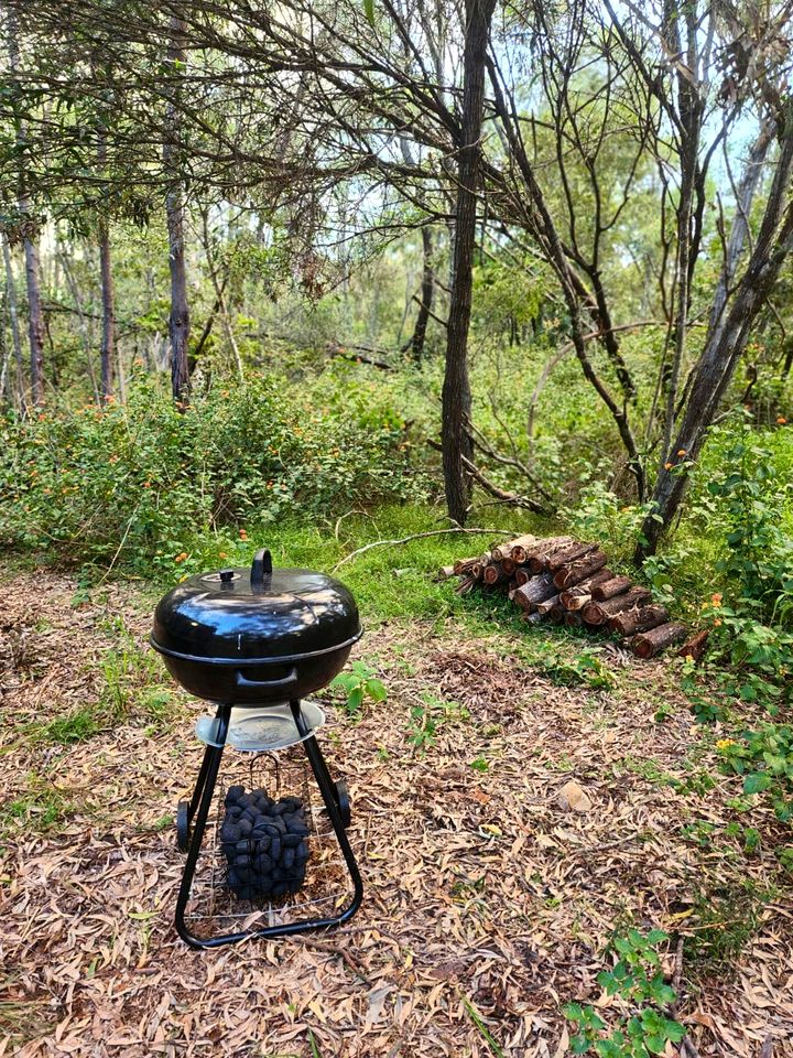 Quirky Tiny House Retreat with Friesian Horses Near Tamborine Mountain, Queensland