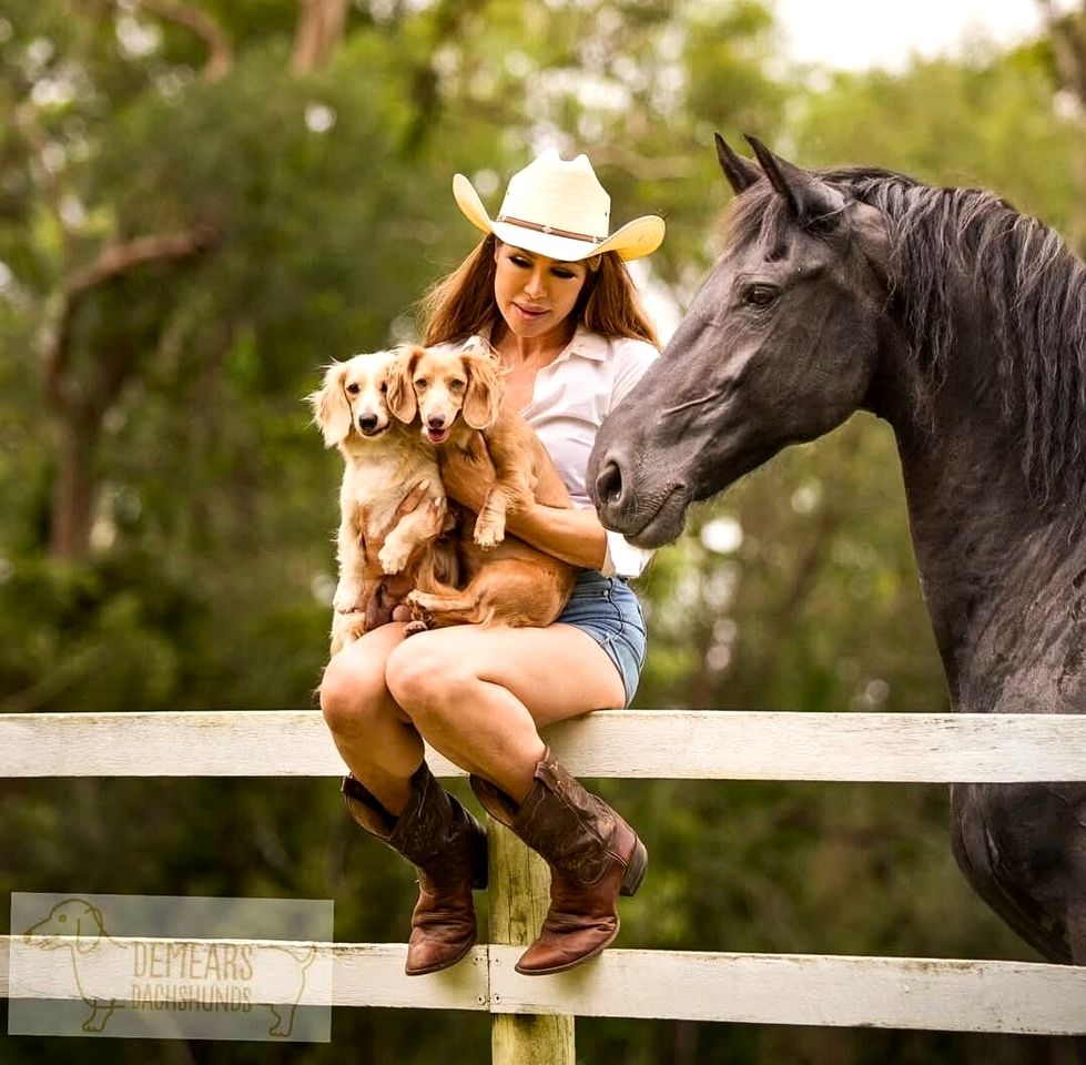 Quirky Tiny House Retreat with Friesian Horses Near Tamborine Mountain, Queensland
