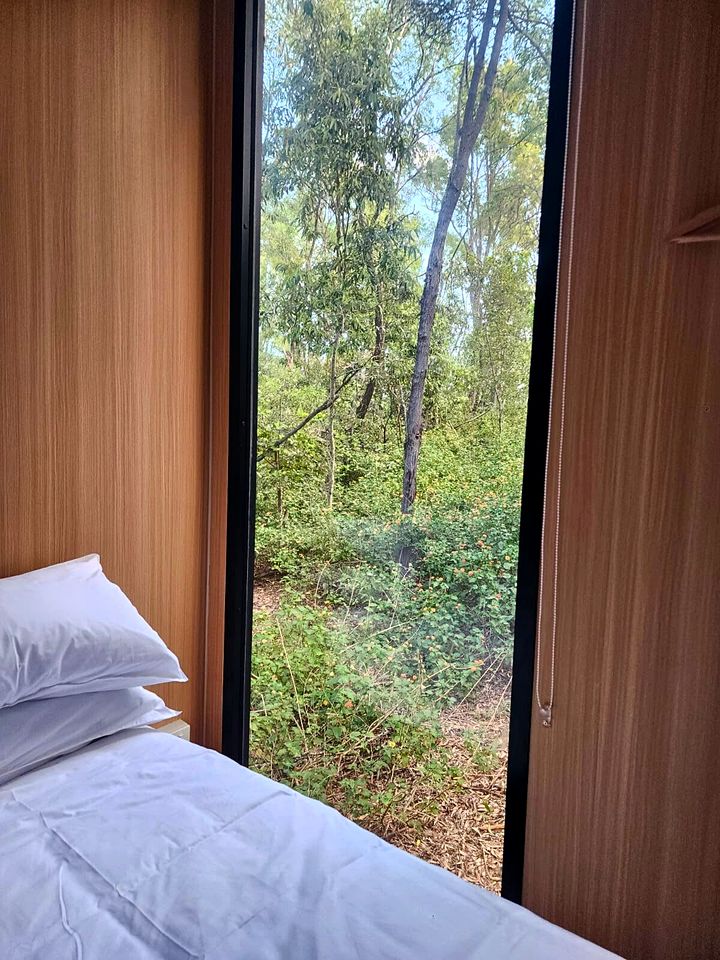 Quirky Tiny House Retreat with Friesian Horses Near Tamborine Mountain, Queensland