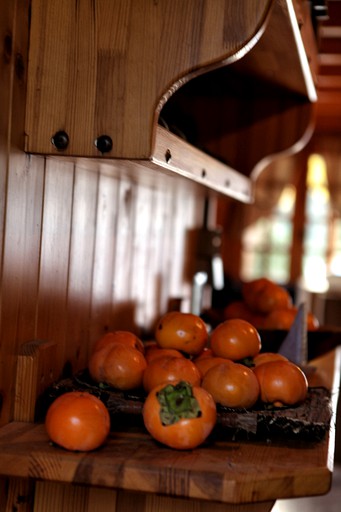 Log Cabins (Lamia, Central Greece, Greece)