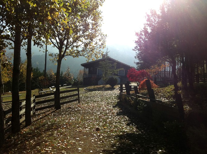 Cottages (Lamia, Central Greece, Greece)