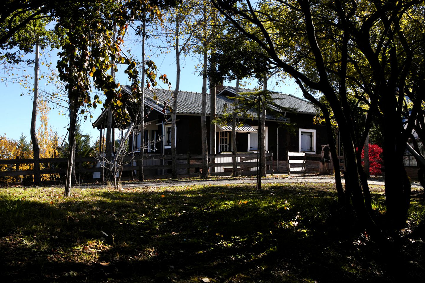 Sophisticated Holiday Rental on Farm Property near Lamia, Greece