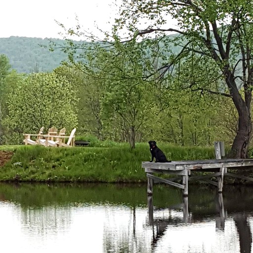 Vermont Bed and Breakfast at Russell Young Farm, Vacation Rentals 26526