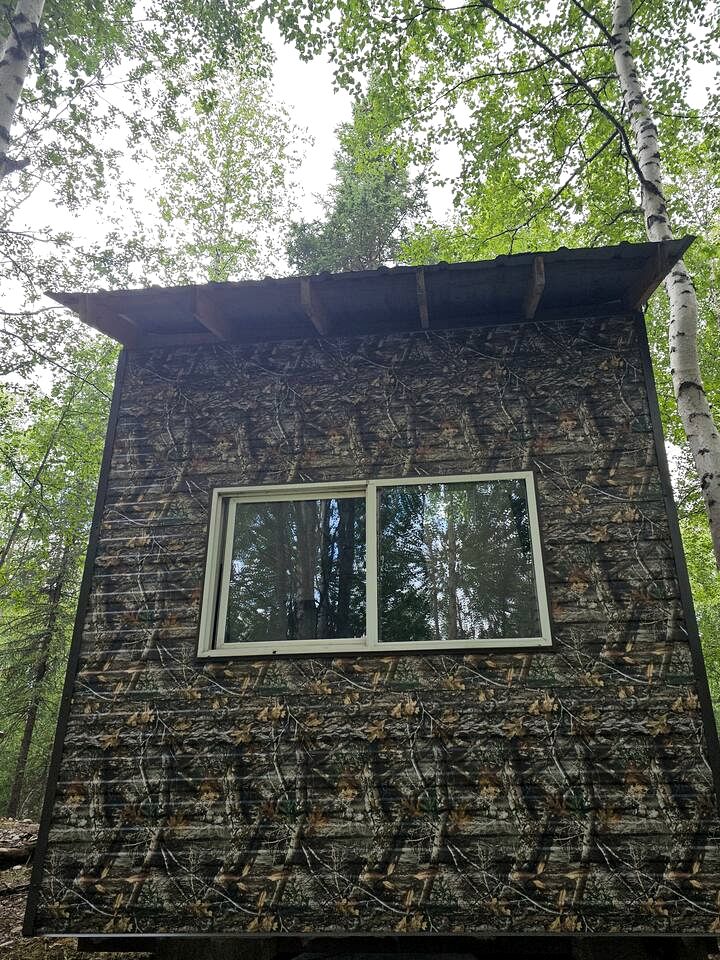 Peaceful Cozy Cabin Stay With Play Area Close To River For Fishing And Easy Outdoor Fun in Houston, Alaska