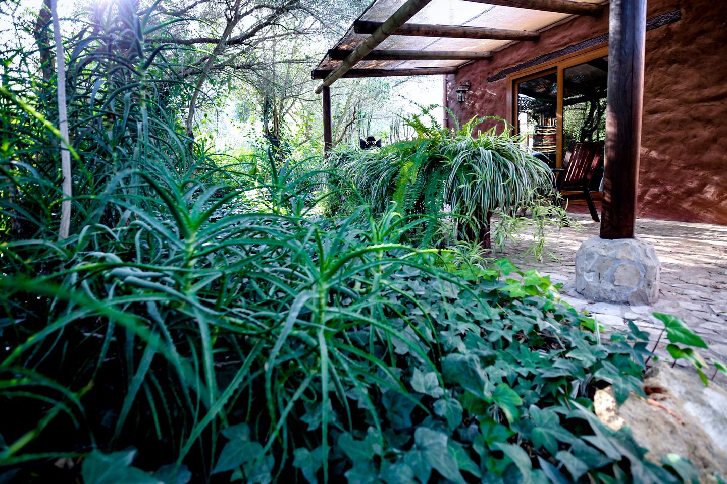 Rustic Cottage Accommodation in Cadiz for a Weekend Yoga Retreat