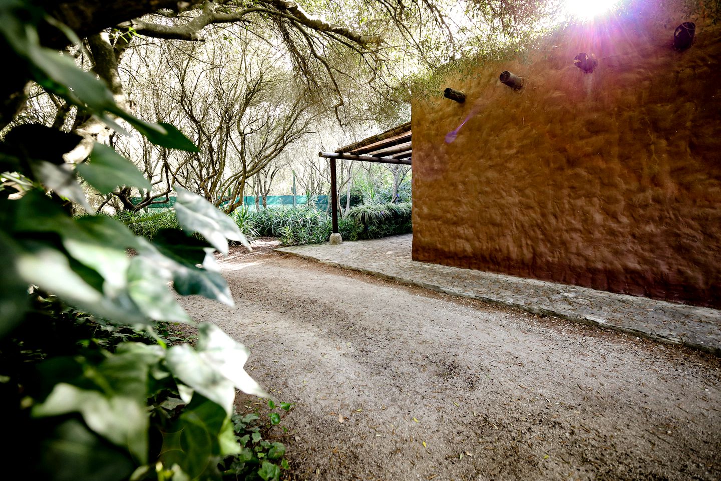 Rustic Cottage Accommodation in Cadiz for a Weekend Yoga Retreat