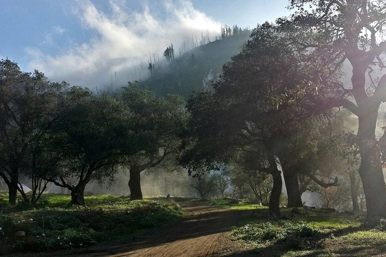 Cabins (Palomar Mountain, California, United States)