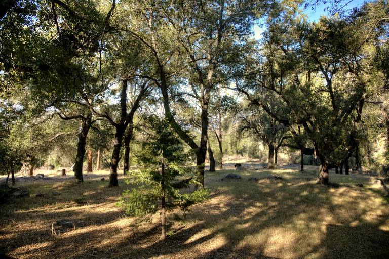 Cabins (Palomar Mountain, California, United States)