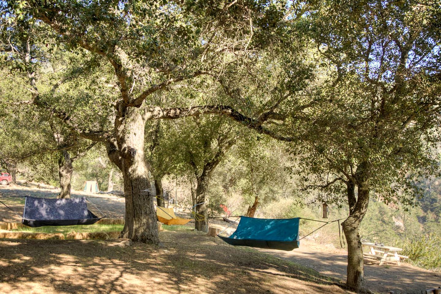 Picturesque Getaway Rental with a Yoga Deck in the Palomar Mountains of California