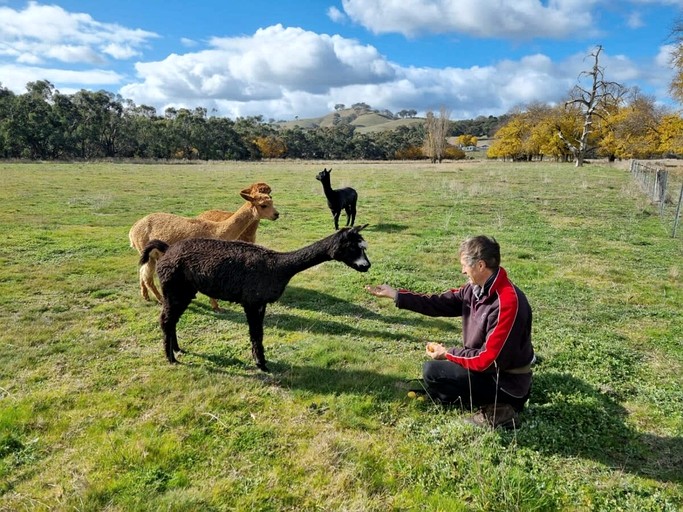 Vacation Rentals (Australia, Gobur, Victoria)